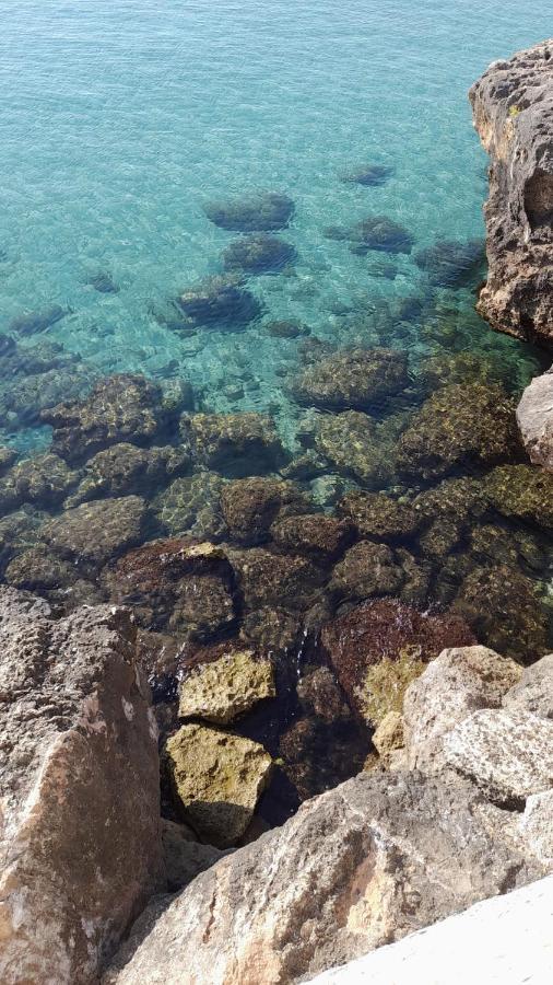 Il Vecchio Carrubo - Villa Con Piscina A Sfioro 마키아 디 몬테 외부 사진